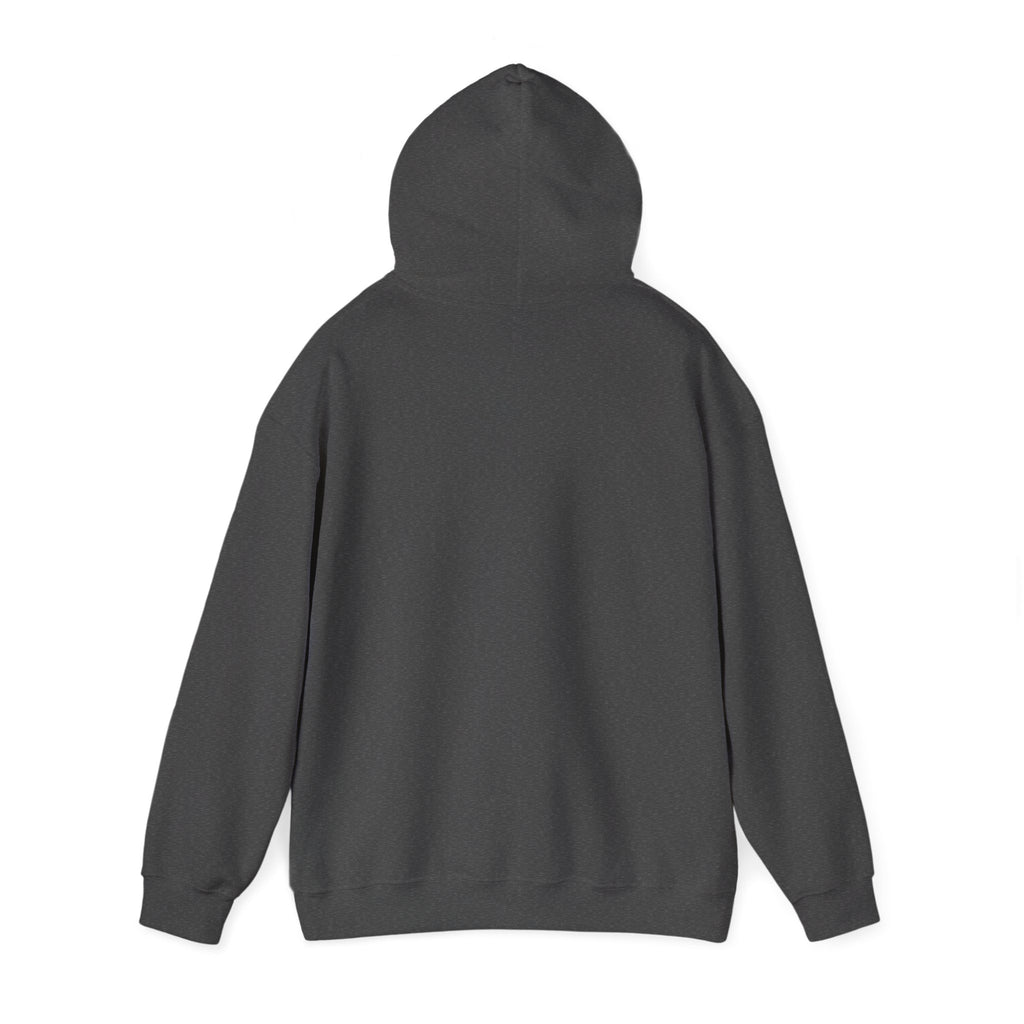 Leigo's Customs Hoodie